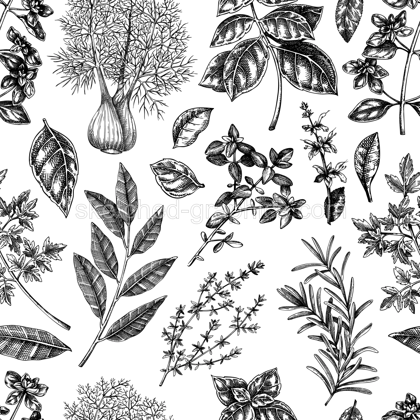 Herbs and spice seamless pattern. Italian cuisine background. Basil, mint, rosemary, parsley, sage, bay leaf, fennel sketches. Kitchen spices hand-drawn vector illustration. NOT AI generated Illustration